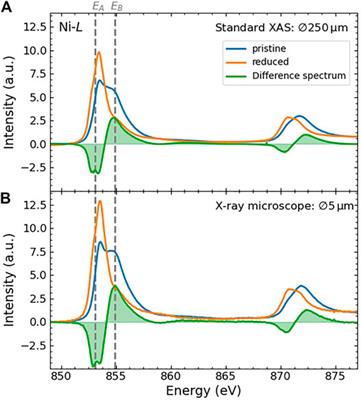 Oxygen Hole Character and Lateral Homogeneity in PrNiO2+δ Thin Films